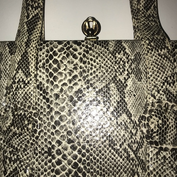 Small Alligator Purse - Picture 2 of 4